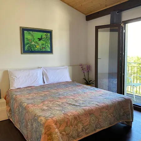 Viva Bacco Bed & Breakfast Gambarogno