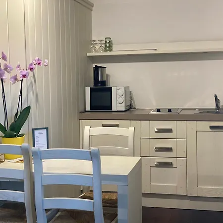 Viva Bacco Bed & Breakfast Gambarogno
