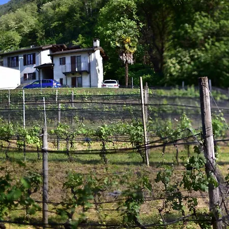 Viva Bacco Bed & Breakfast *