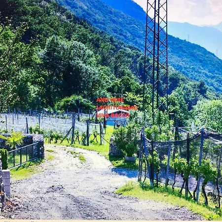 Viva Bacco Bed & Breakfast Gambarogno