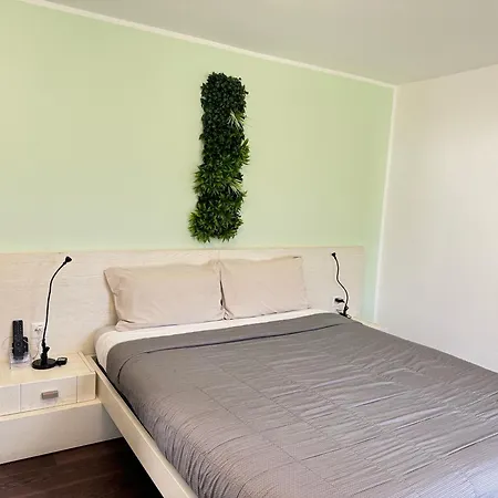 Viva Bacco Gambarogno