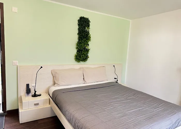 Viva Bacco Gambarogno