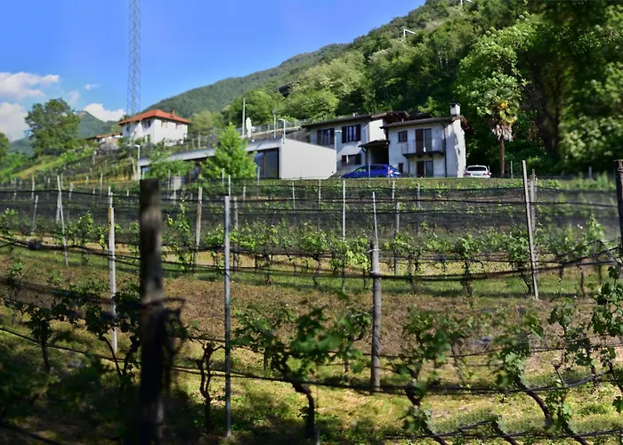 Фермерский дом Viva Bacco Gambarogno