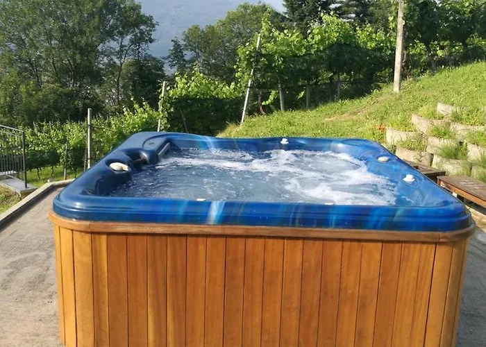 Viva Bacco * Gambarogno