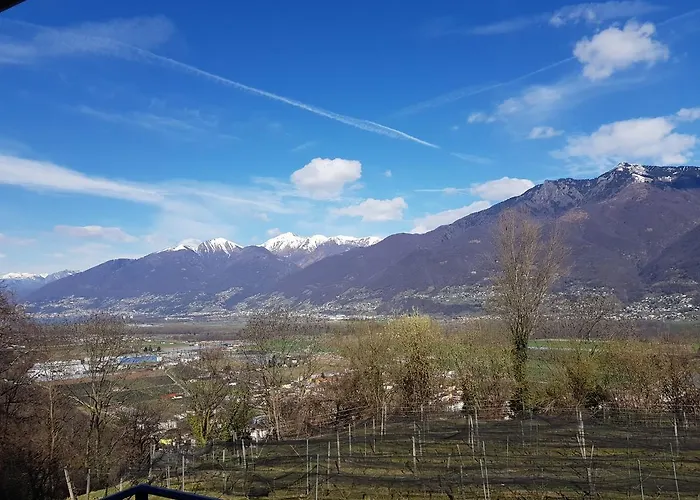 Фермерский дом Viva Bacco *