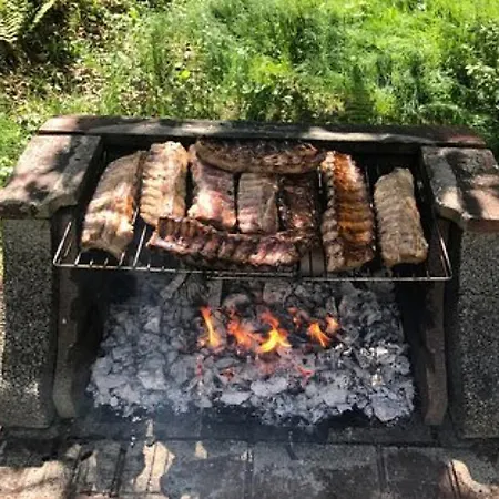 Alojamento de Turismo Rural Viva Bacco *