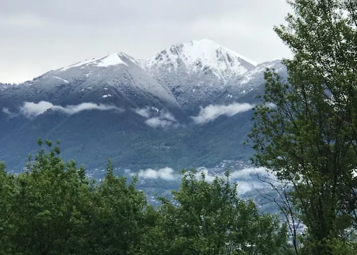 Agroturismo Viva Bacco *