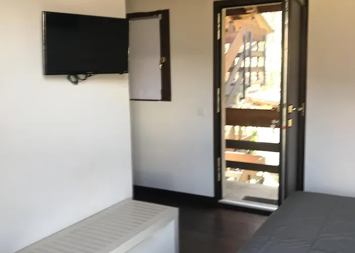 Viva Bacco * Gambarogno